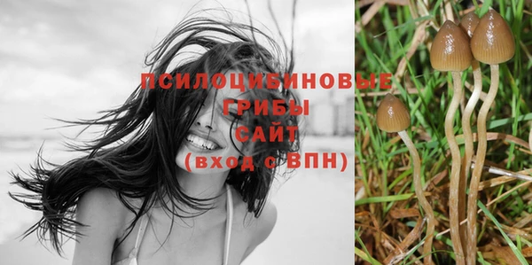 твердый Белоозёрский