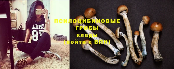 марки nbome Белокуриха